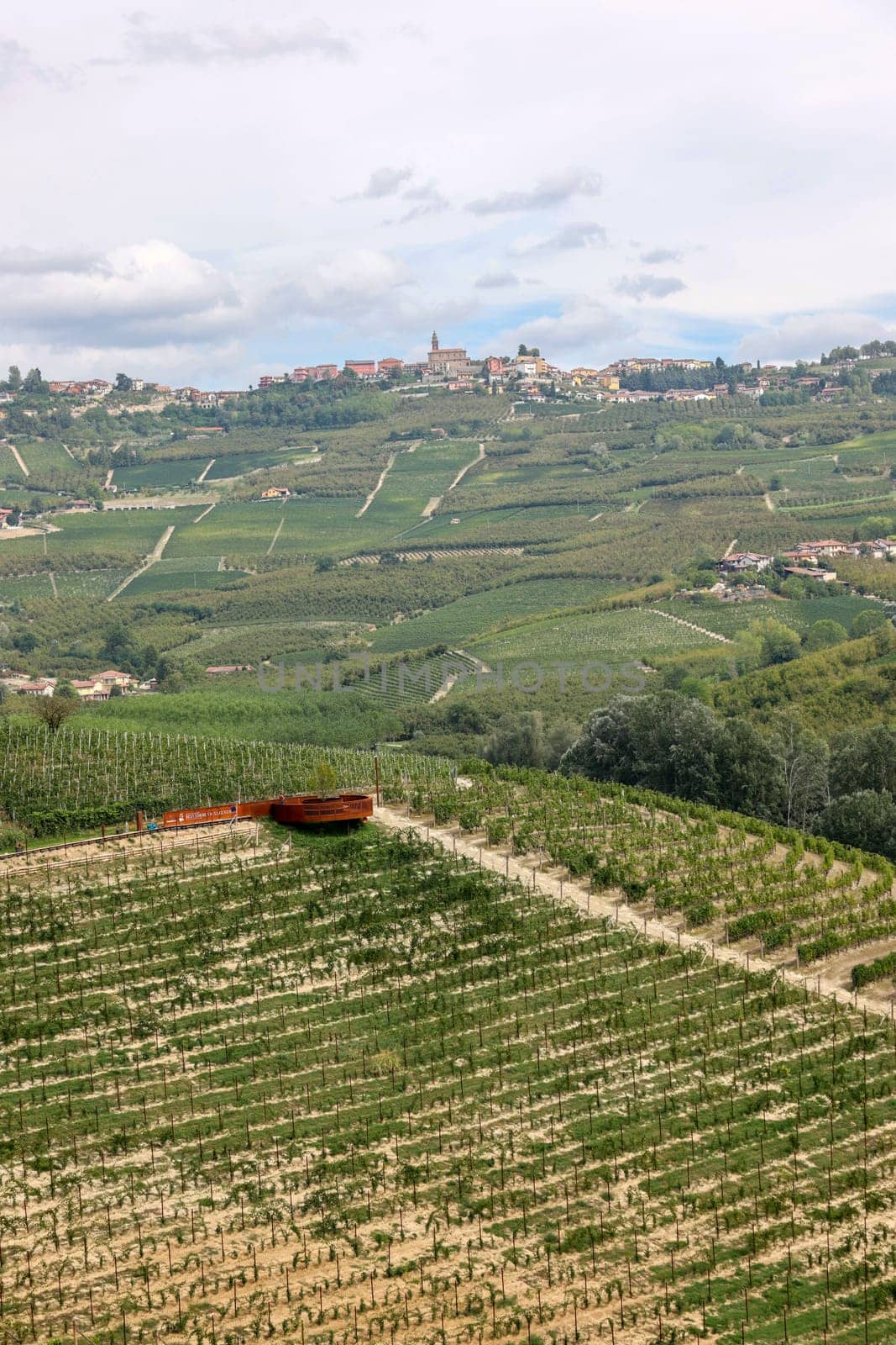Langhe vineyards near Grinzane Cavour. Unesco Site, Piedmont, Italy