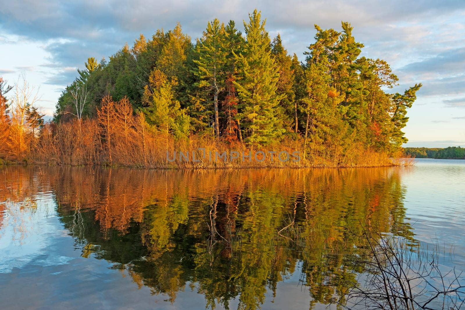 Brilliant Colors in Evening Light on Clark Lake in the Sylvania Wilderness in Michigan