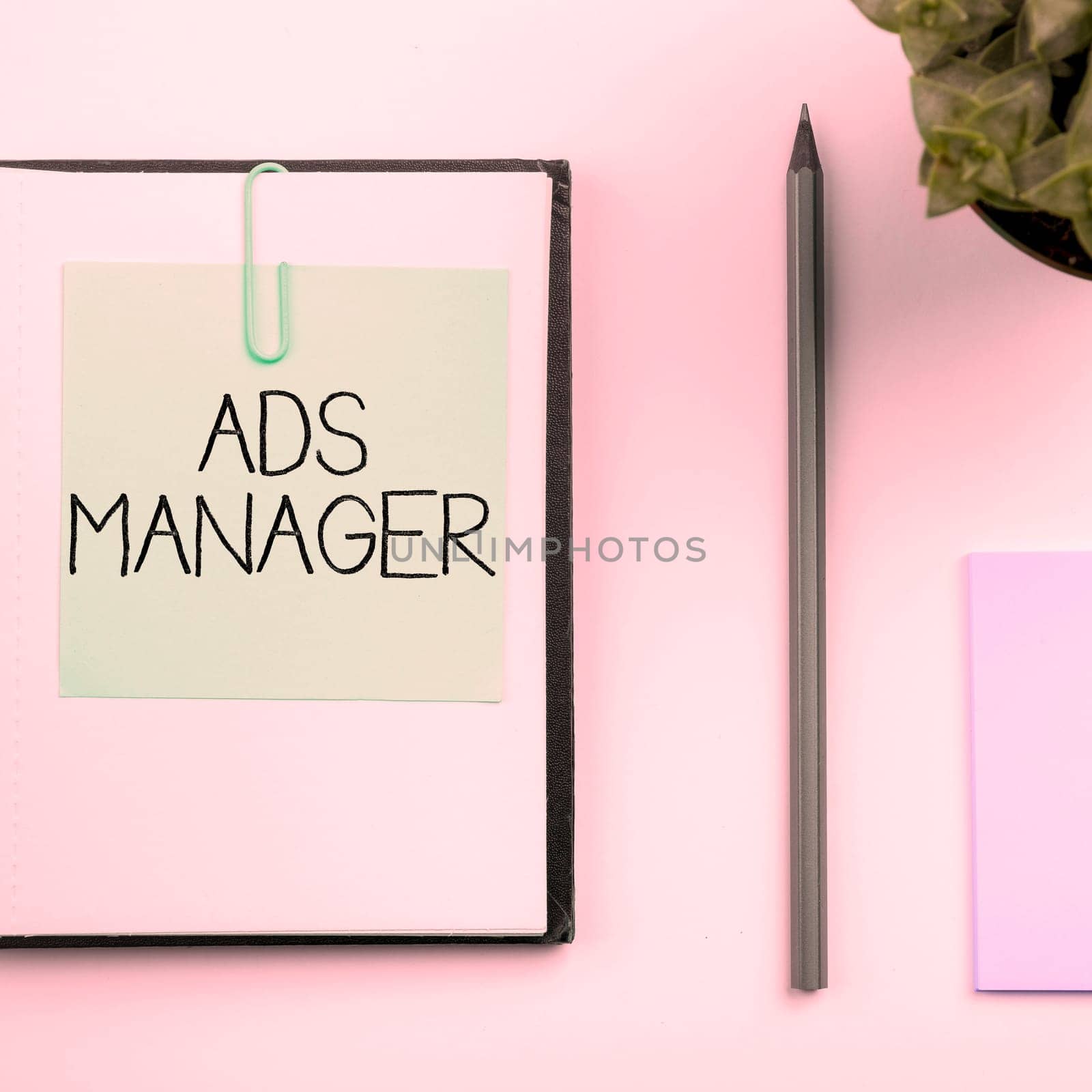 Handwriting text Ads Manager, Business showcase oversee and control the various advertising activities
