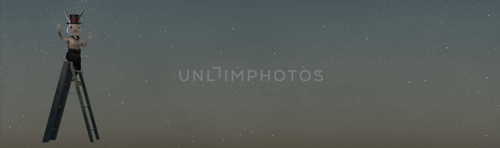 Rabbit  On Step Ladder . concept HAPPY NEW YEAR , EASTER DAY .  banner size . space for text