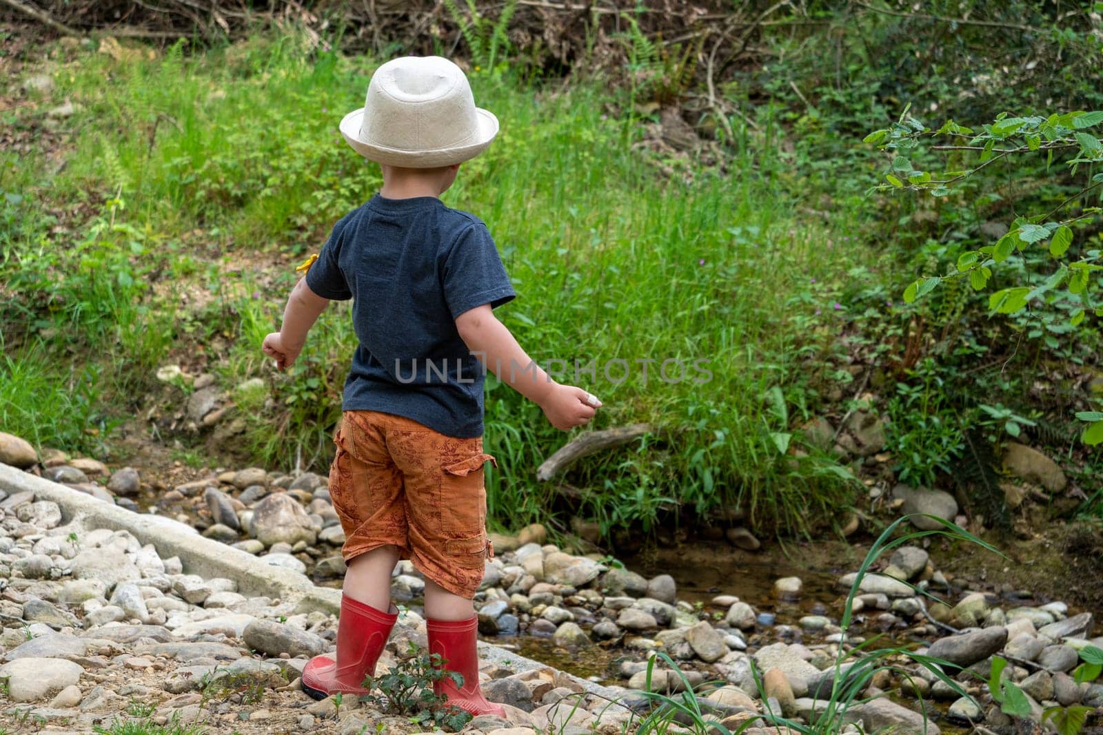Young child in nature, a back view