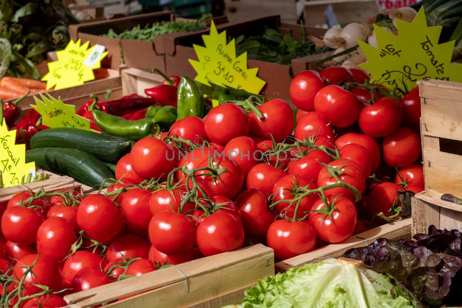 delicious organic tomatoes on the french market place
