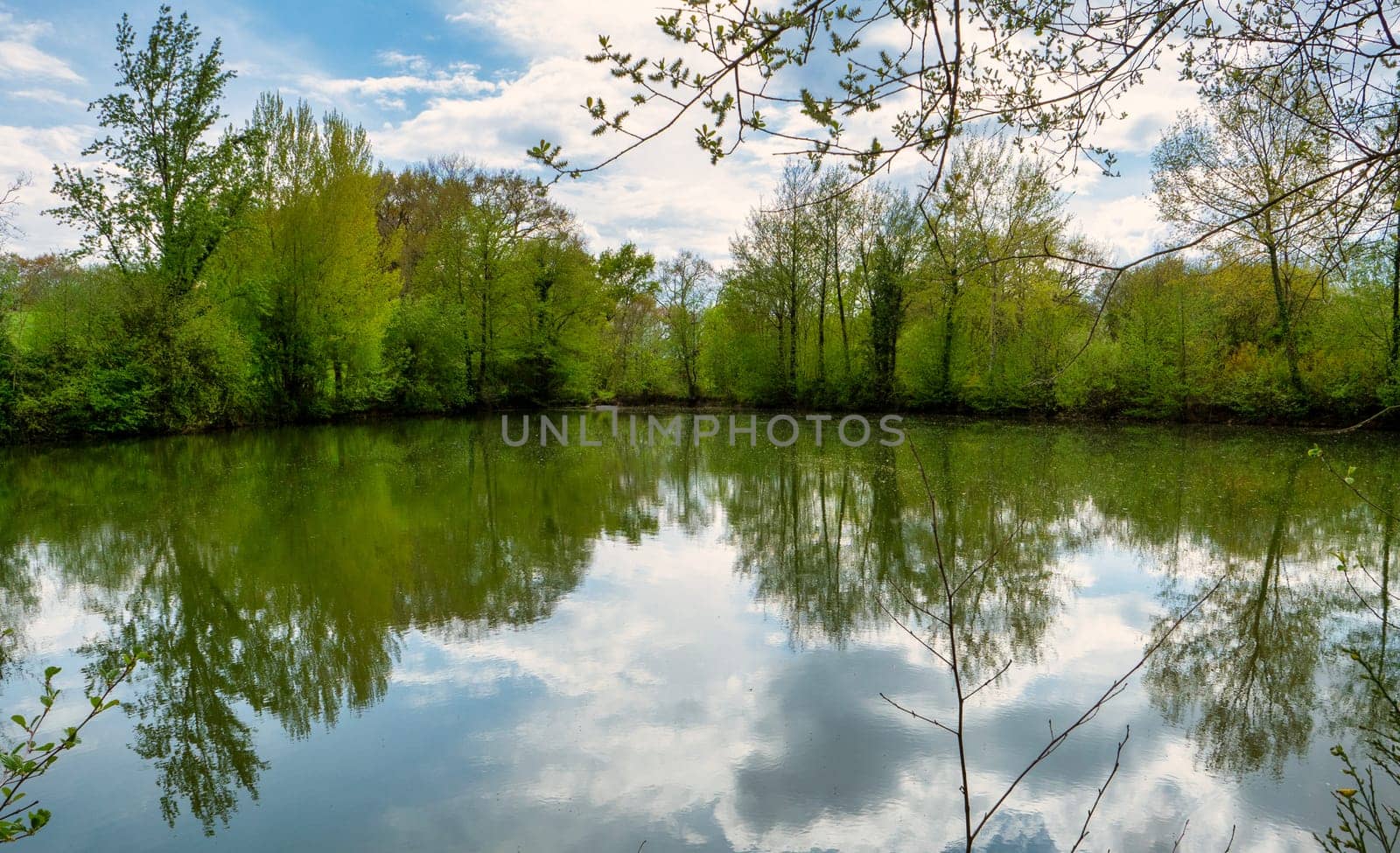 Beautiful springtime rural landscape  with a pond