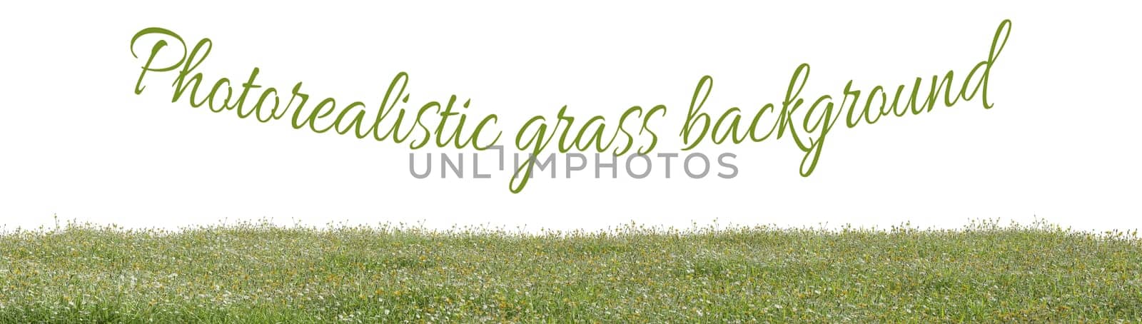 Photorealistic grass hill on a white background, 3d rendering