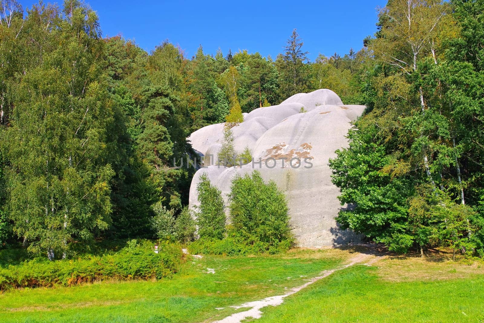 mountain Elefantensteine (Bíle kameny) in Zittau Mountains in summer