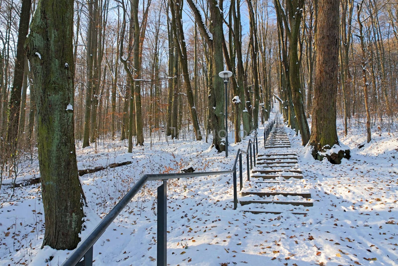 in the town of Goerlitz, the mountain Landeskrone in winter a beautiful staircase as a climb