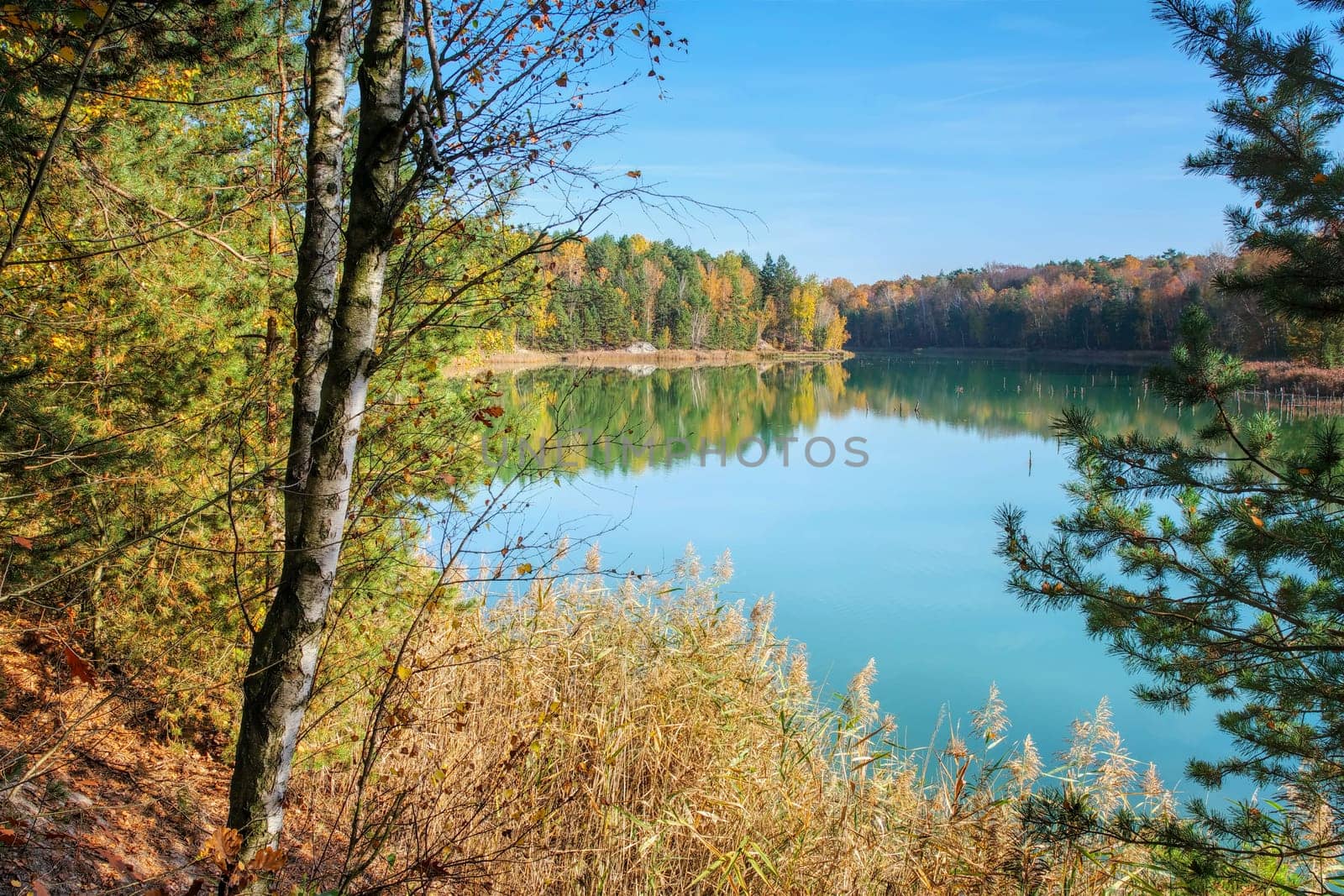 Autumn forest by the lake, indian summer