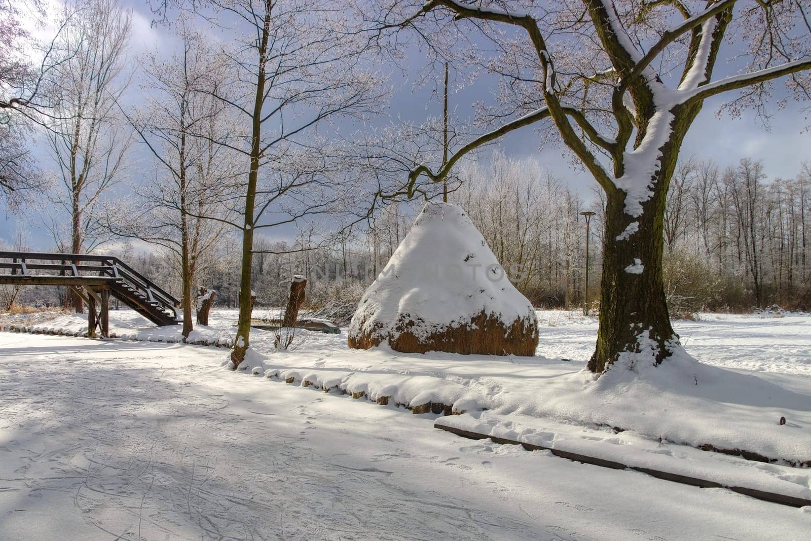 Spreeforest in cold winter, Brandenburg