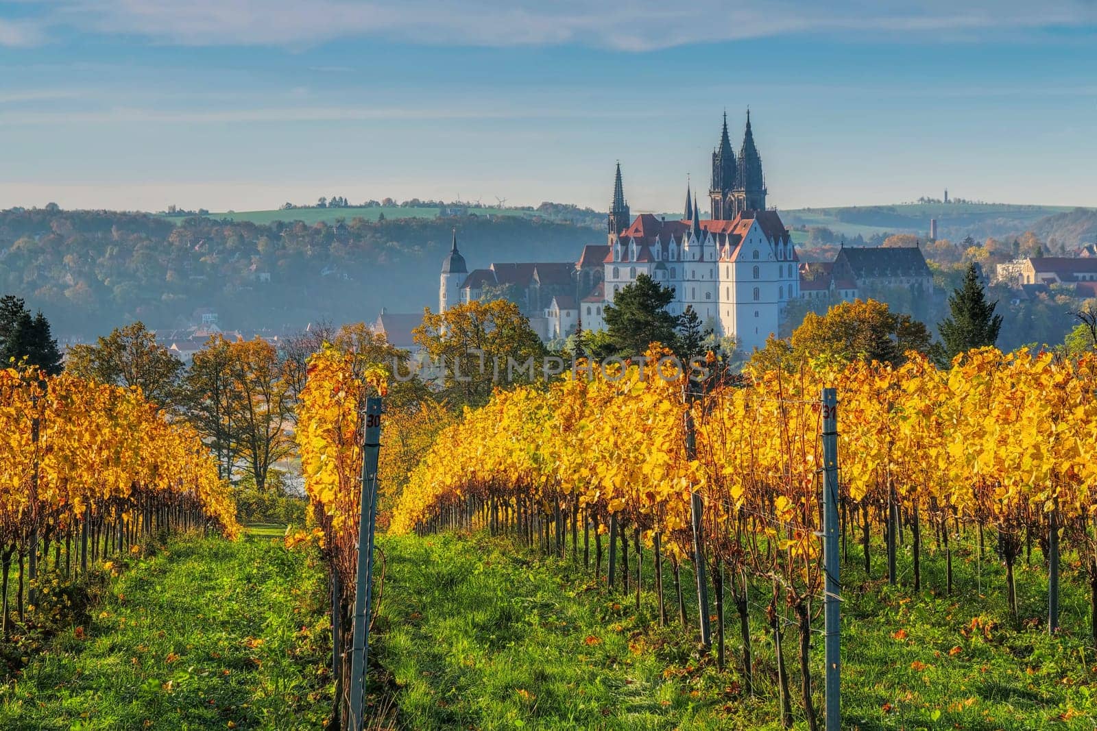 view over autumn vineyards to the city of Meissen in Saxony, Germany
