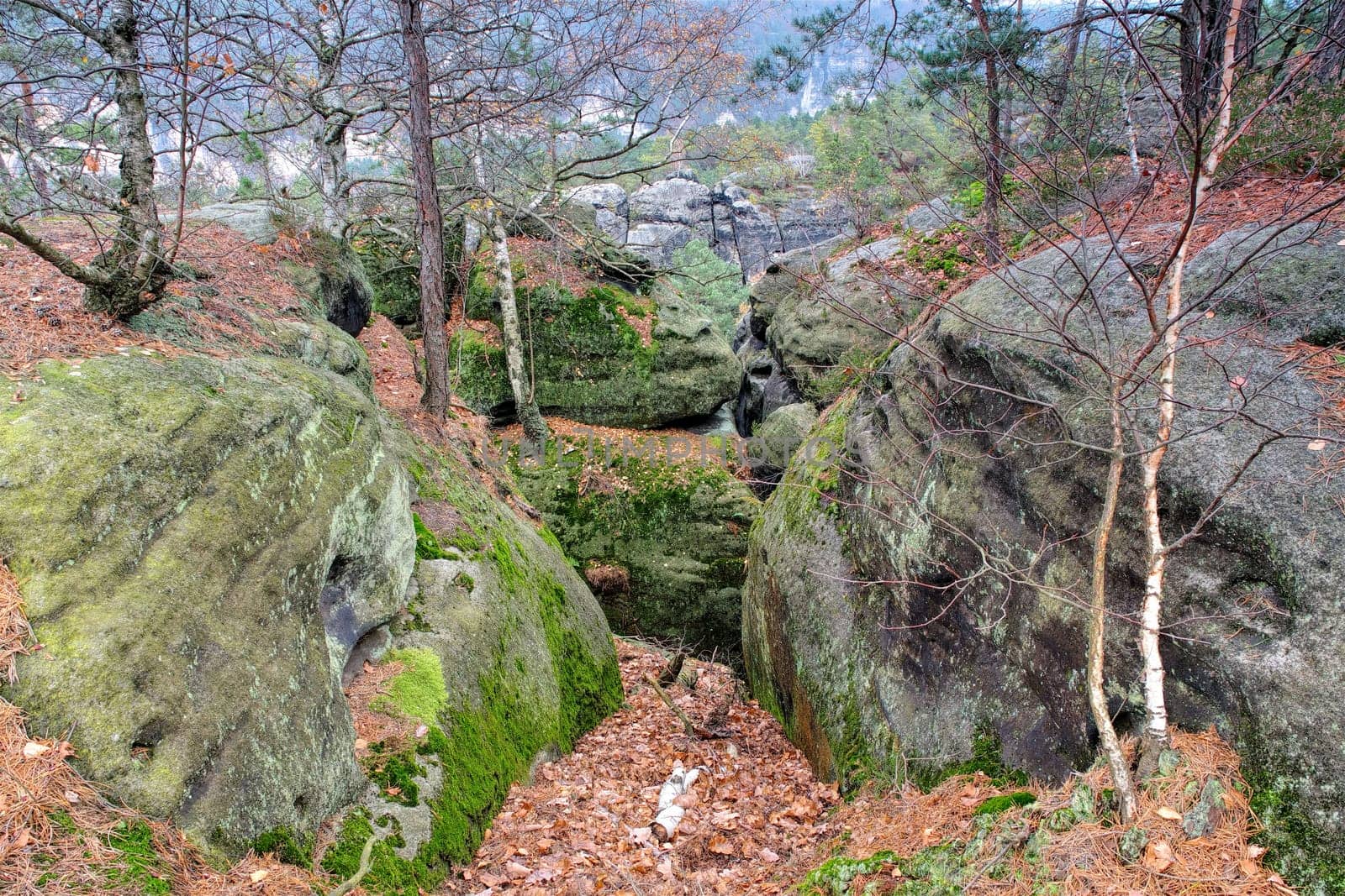 Sandstone rocks in the Elbe Sandstone Mountains in autumn