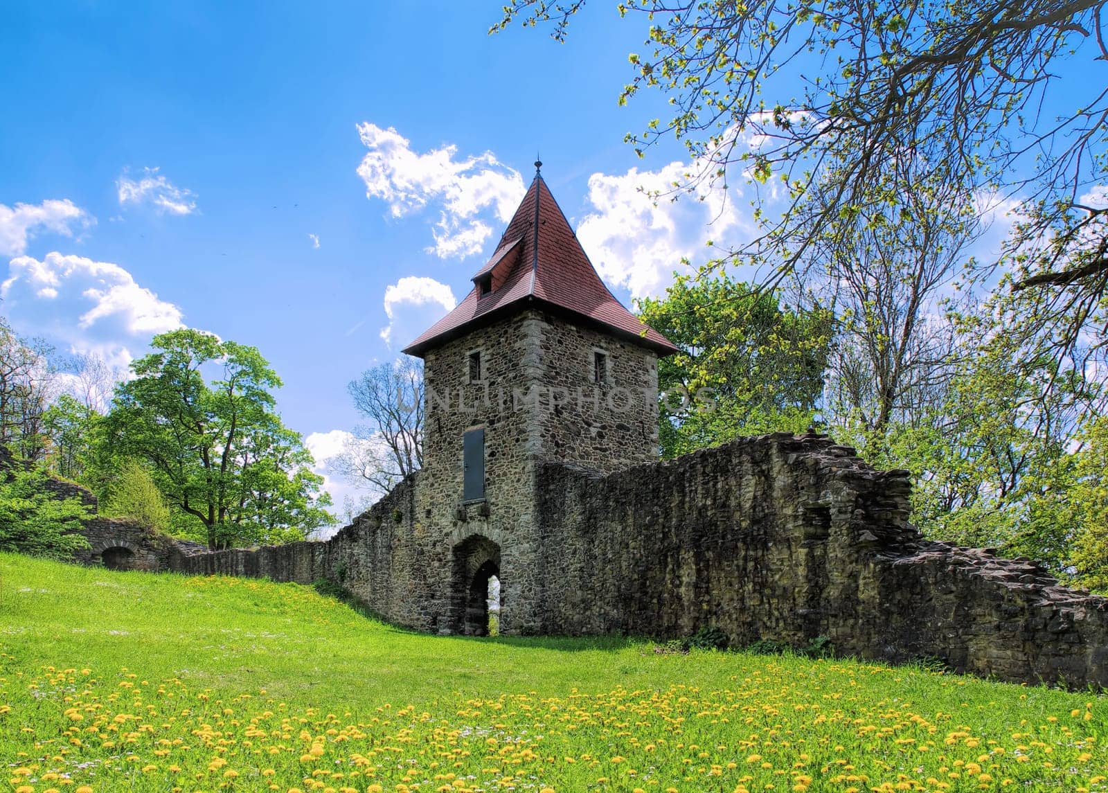 Triebel castle Wiedersberg in spring, Landscape Vogtland , Germany