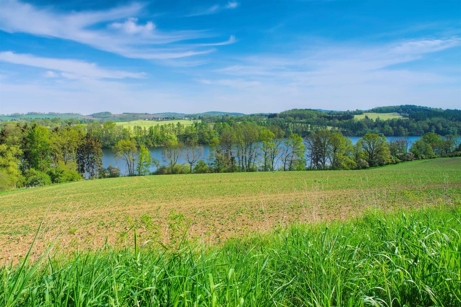 the lake Pirk in Vogtland with field in spring, Germany