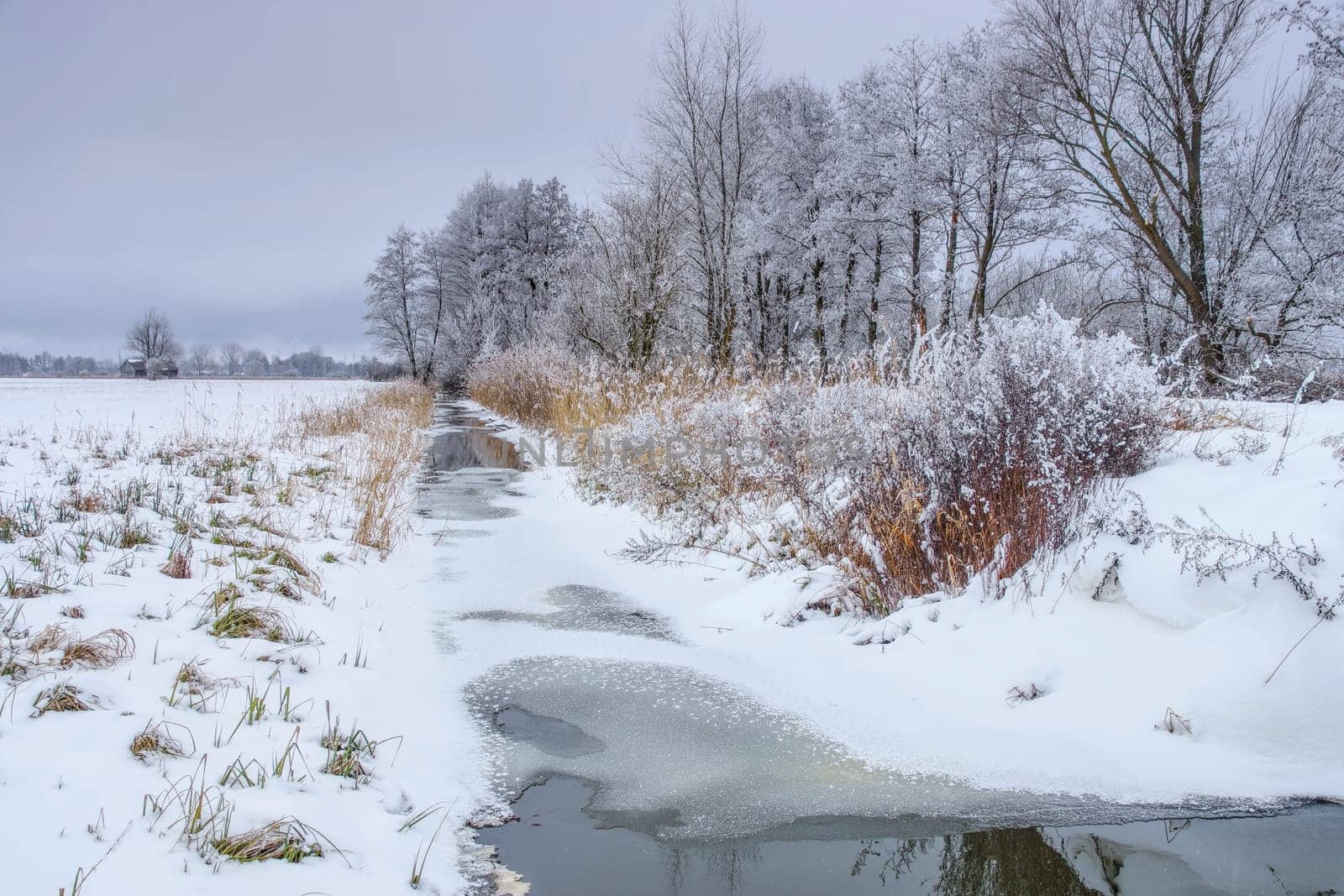Spreewald im Winter - Spreeforest in cold winter, Brandenburg