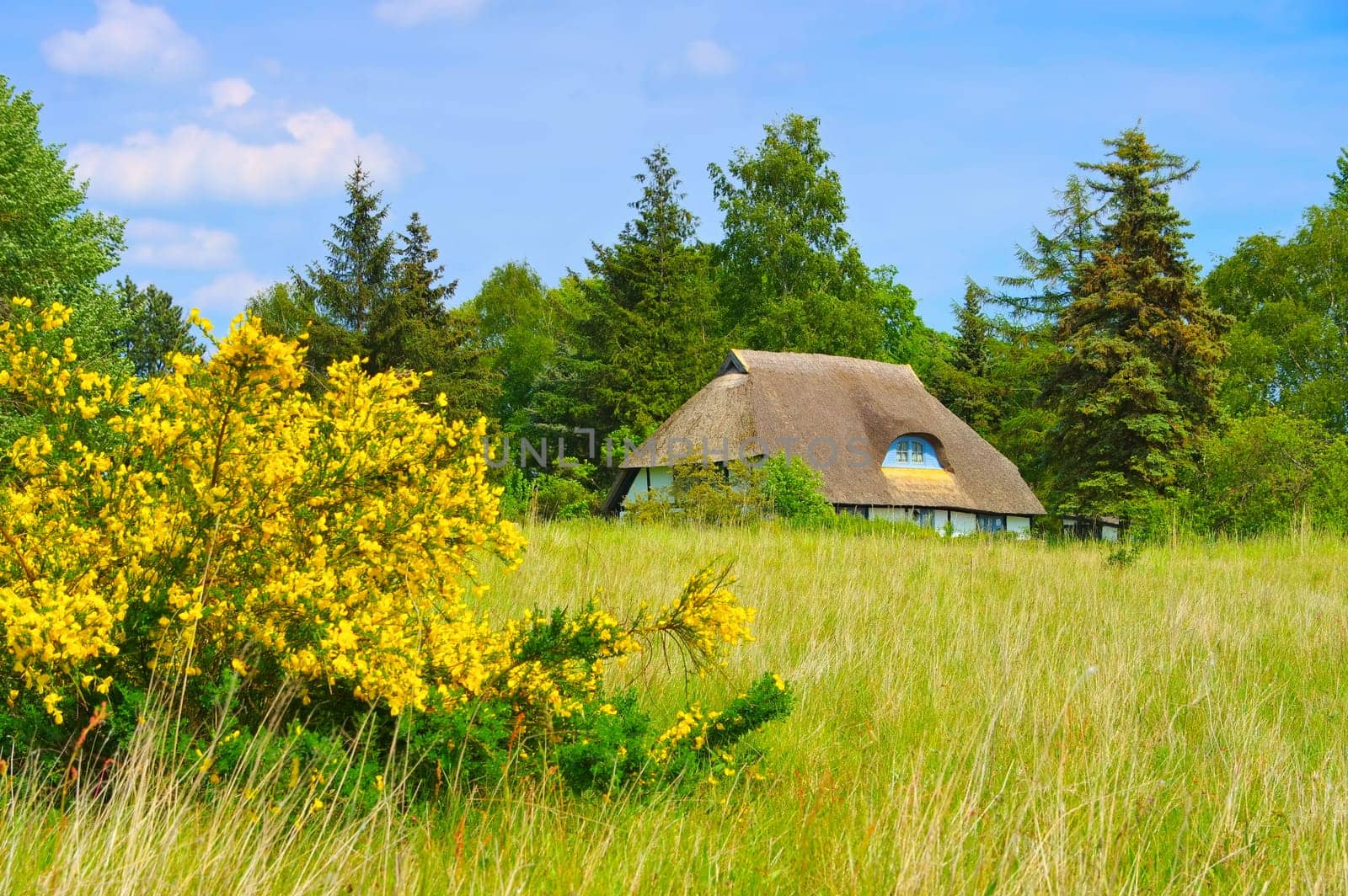 Freesenort on island Ummanz in Germany in spring