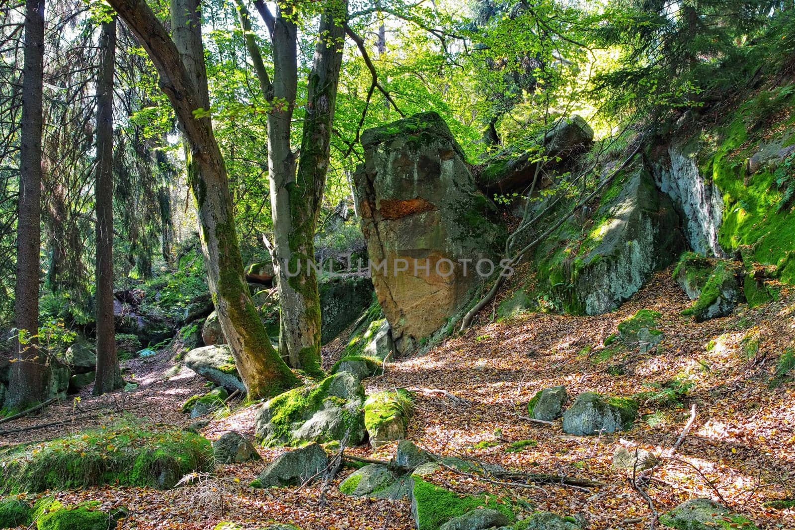 rocks in Zittau Mountains, autumn