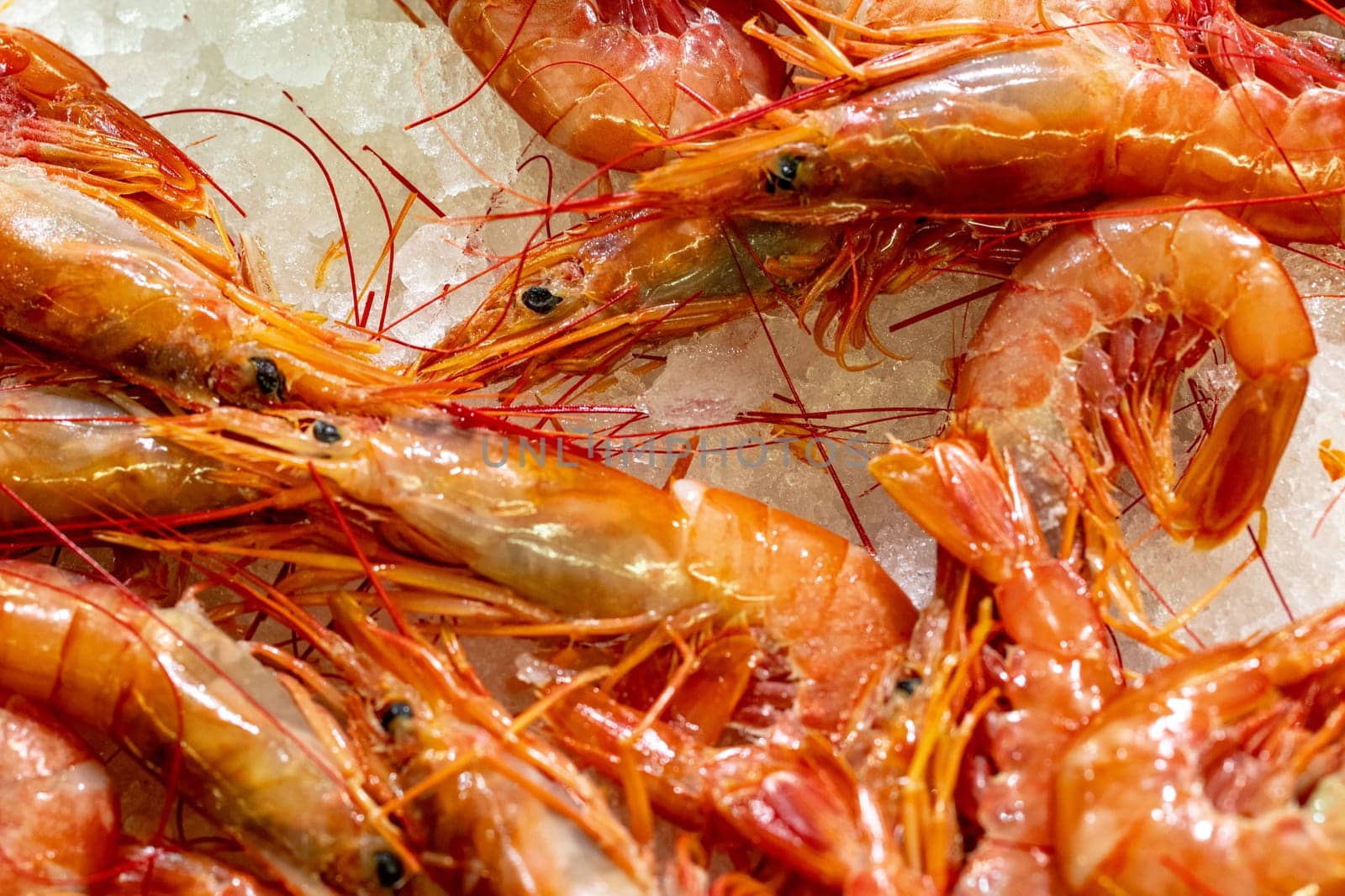 Seafood background. Selective focus on fresh big prawn tiger or shrimps on ice for sale at fish market.  Concept healthy food. BBQ.