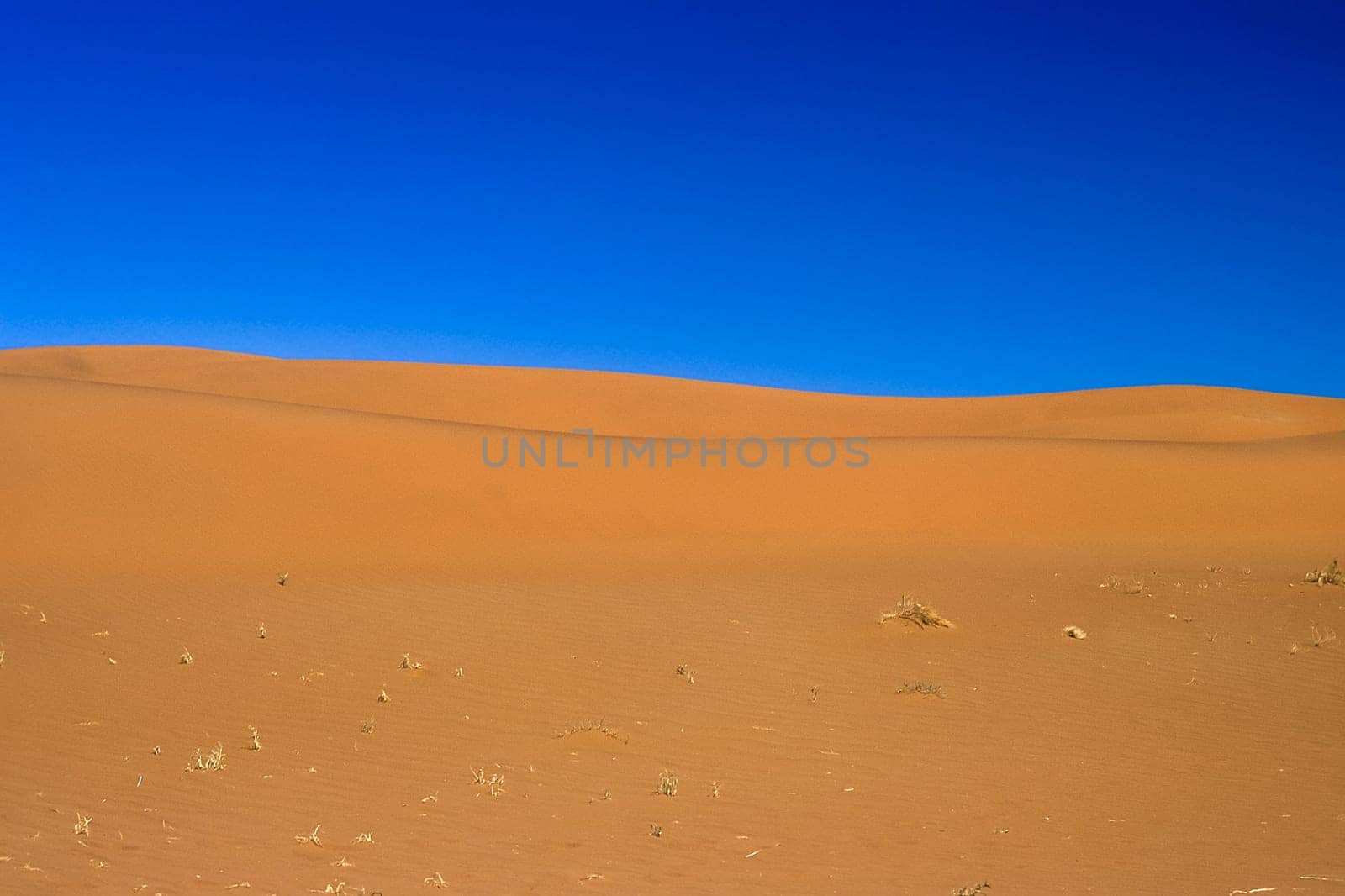 Africa, Namibia, Hardap, Namib Naukluft Park, Sesriem