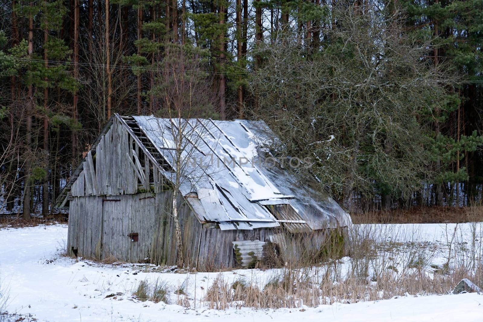 Old barn in the village on a winter day