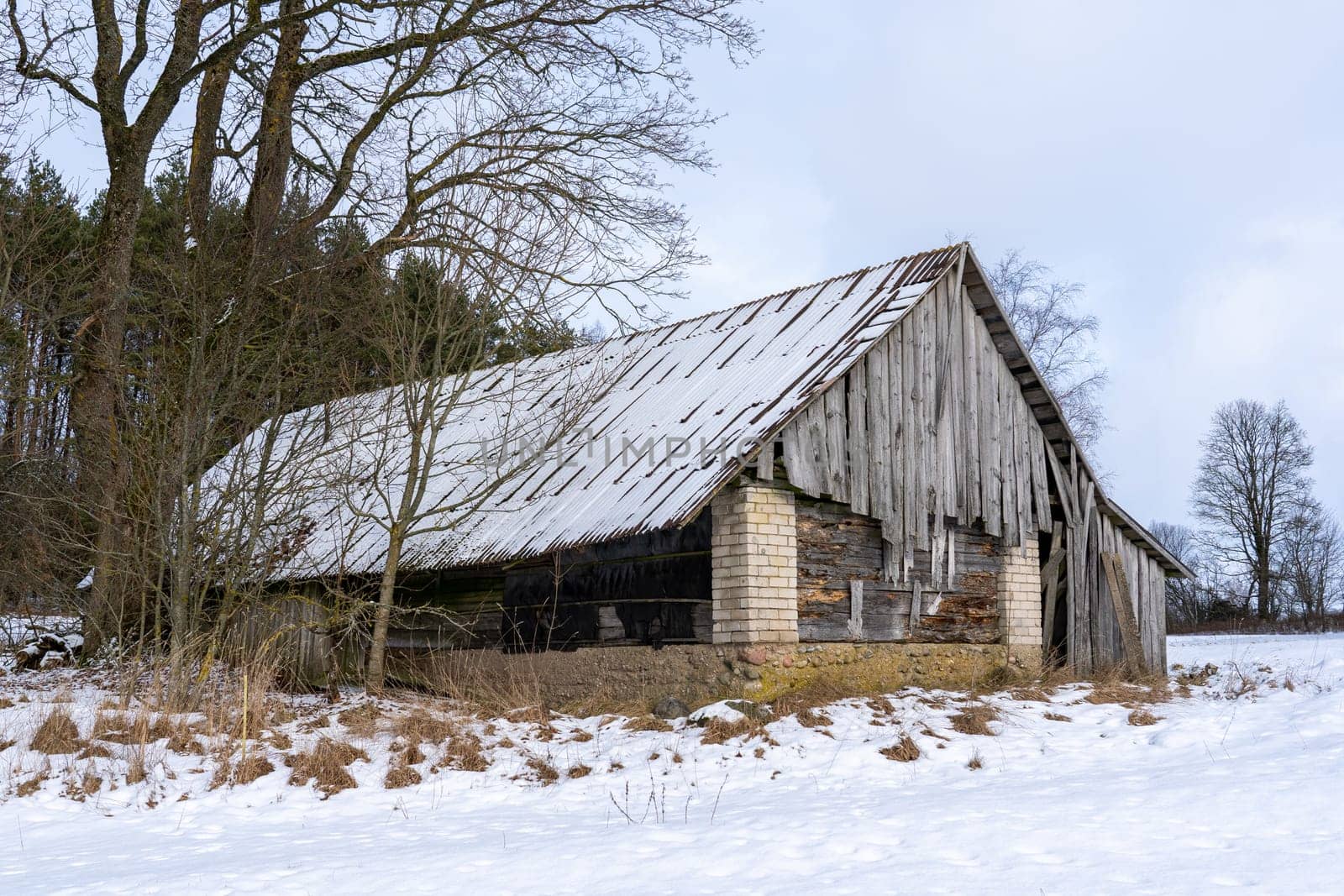 Old barn in the village on a winter day
