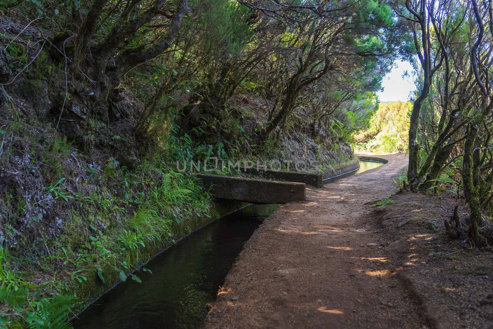 Hiking along levada irrigation channel at Madeira island in Portugal