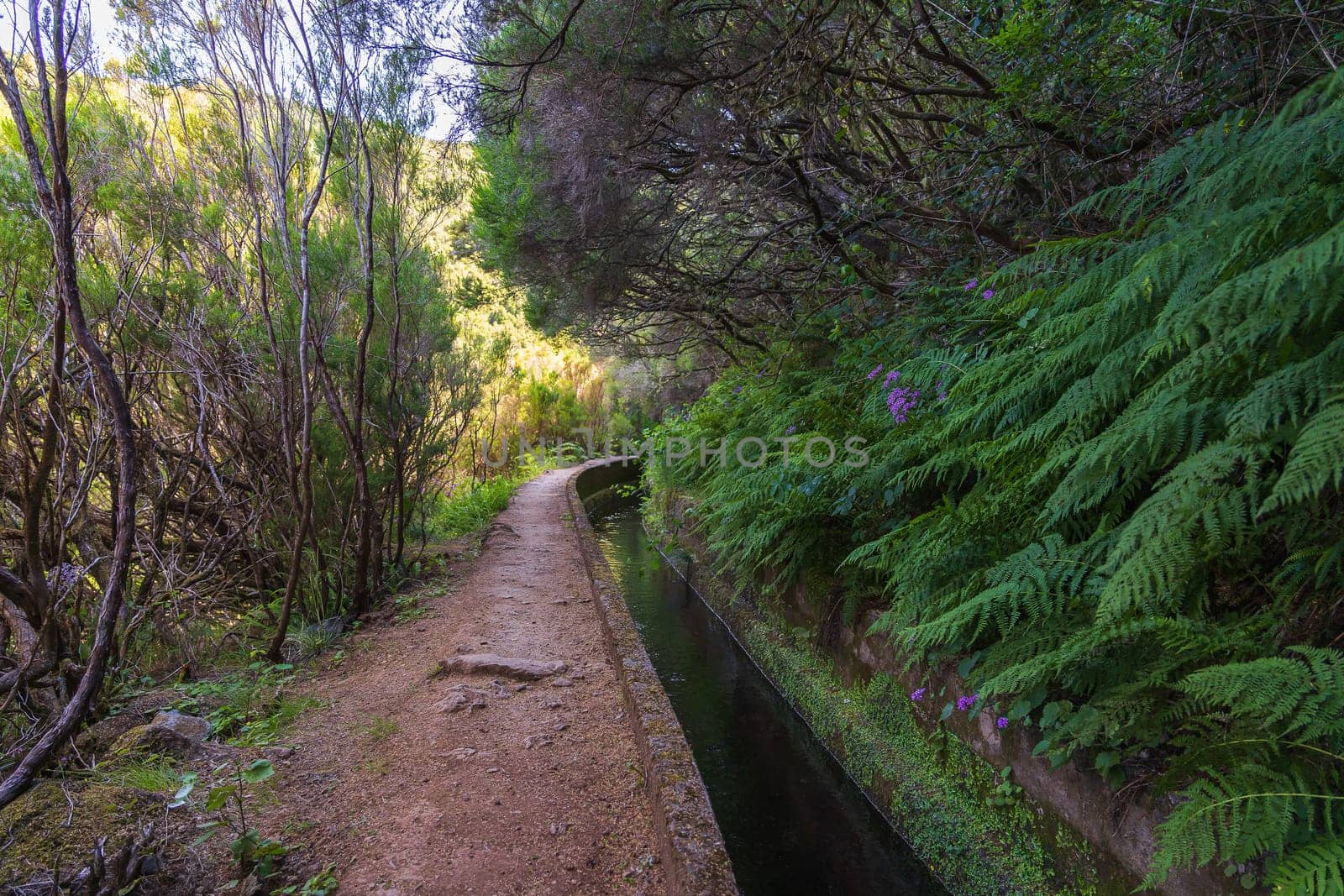 Hiking along levada irrigation channel at Madeira island in Portugal