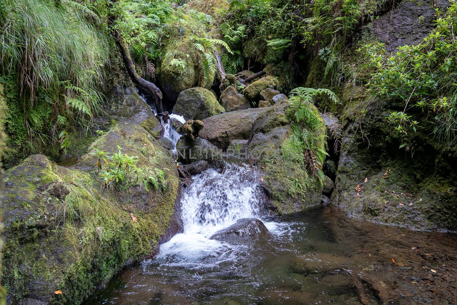 Mini waterfall in Madeira Island