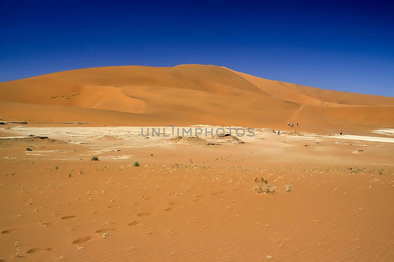 Africa, Namibia, Hardap, Namib Naukluft Park, Deadvlei
