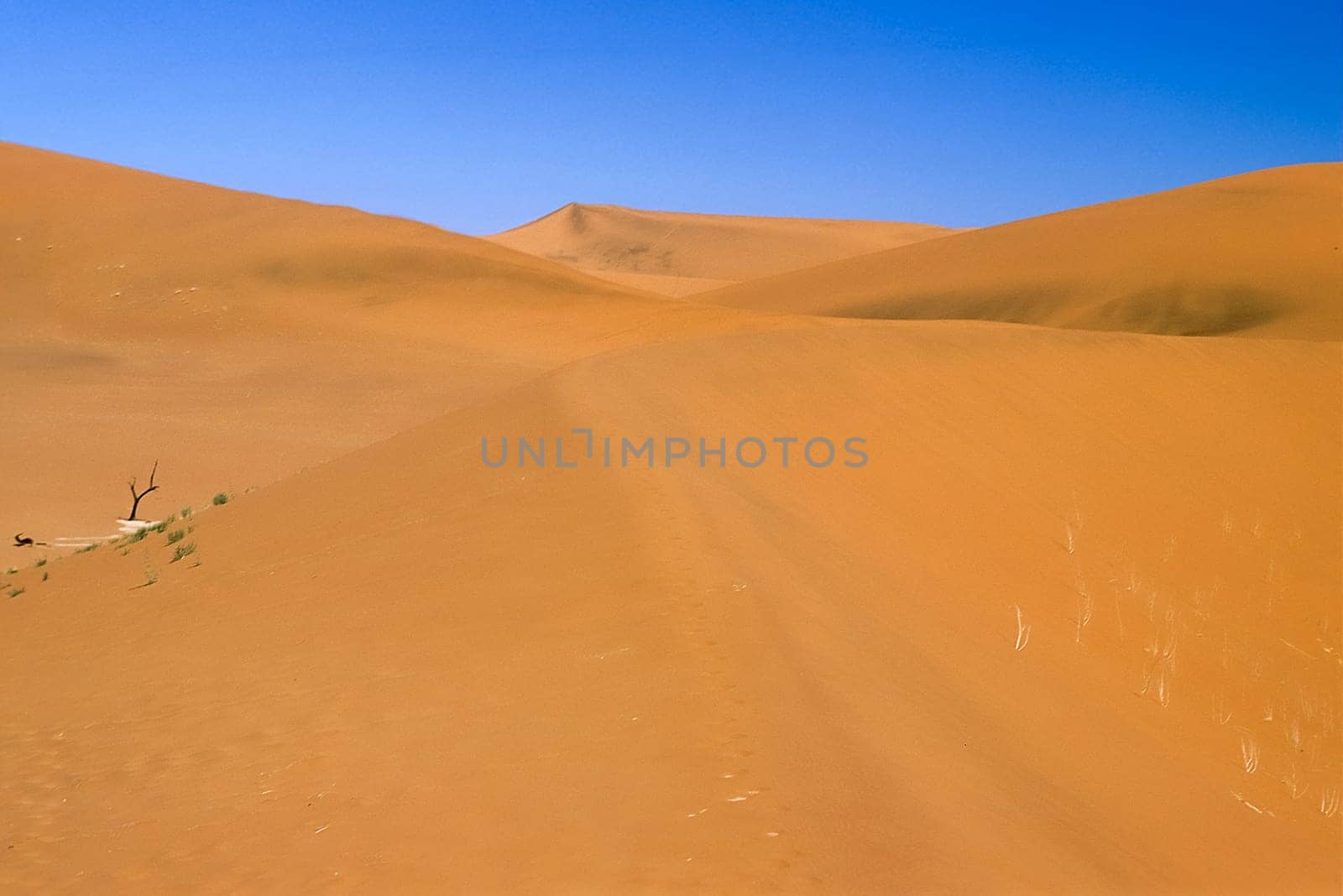 Africa, Namibia, Hardap, Namib Naukluft Park, Deadvlei