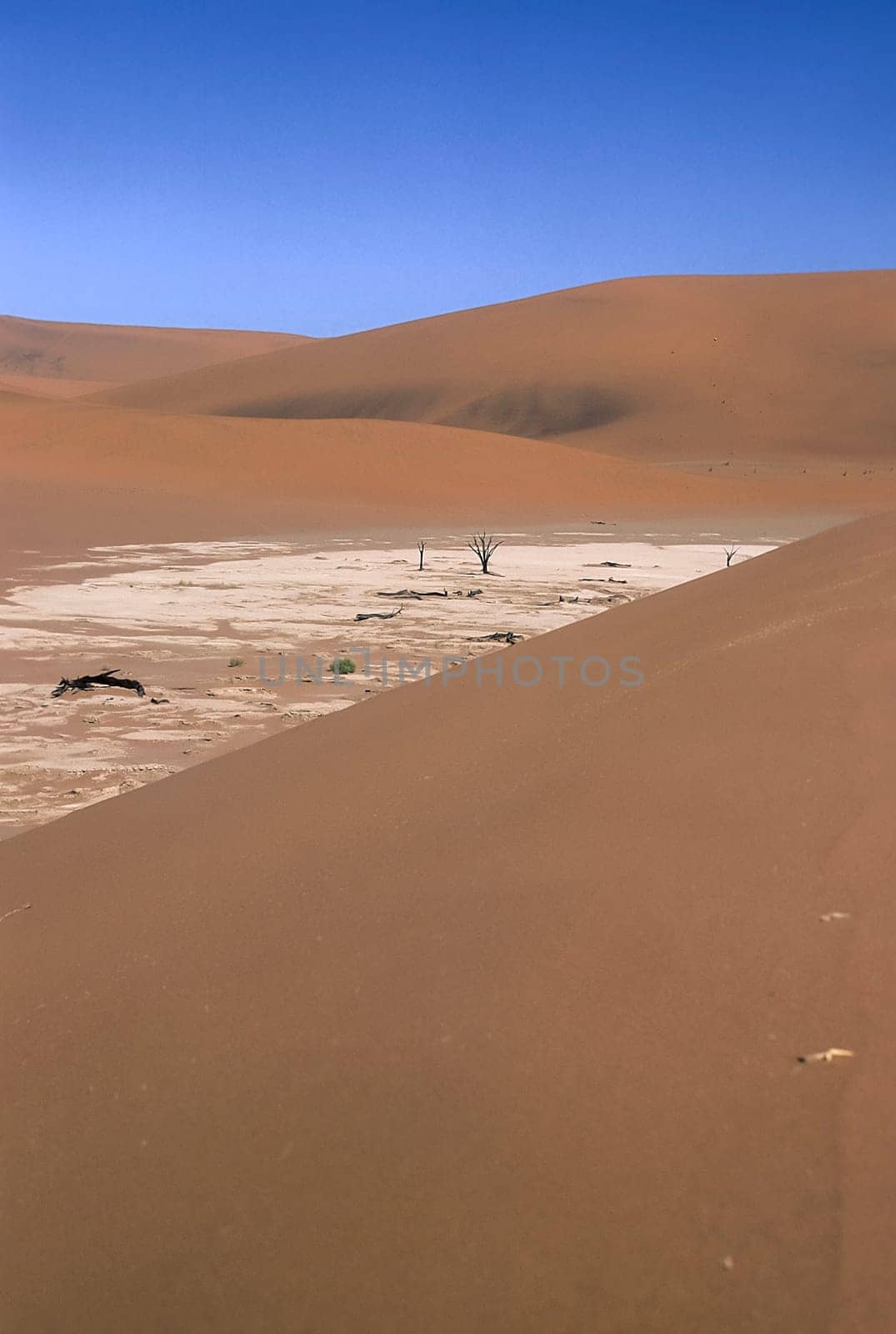 Africa, Namibia, Hardap, Namib Naukluft Park, Deadvlei