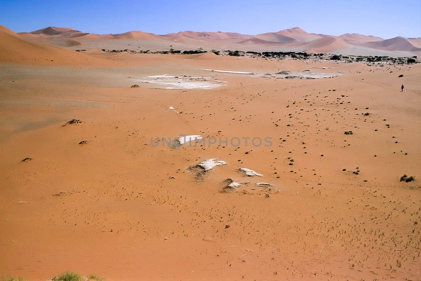 Africa, Namibia, Hardap, Namib Naukluft Park, Deadvlei