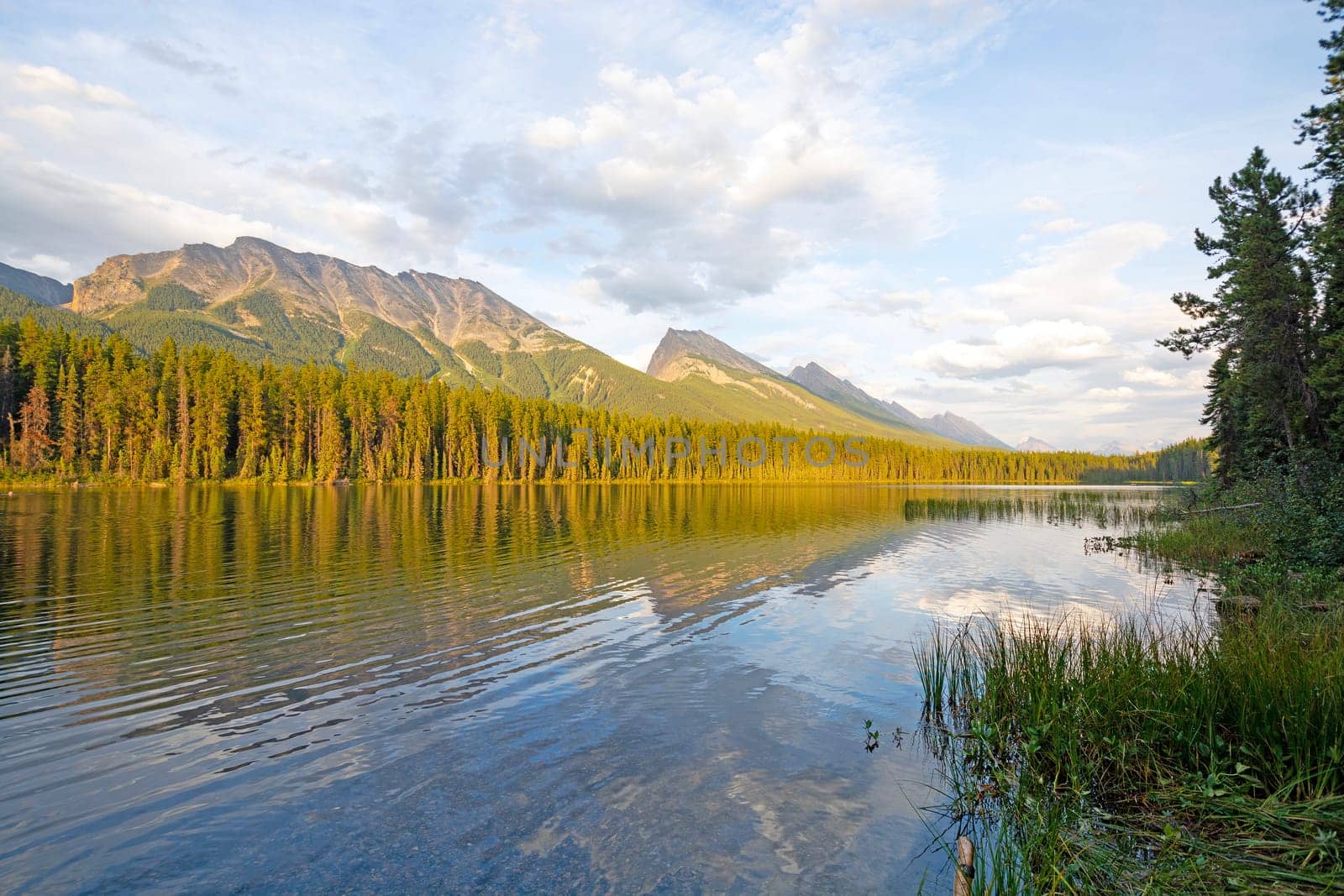 Evening Sun on an Alpine Lake on Honeymoon Lake in Jasper National Park in Alberta