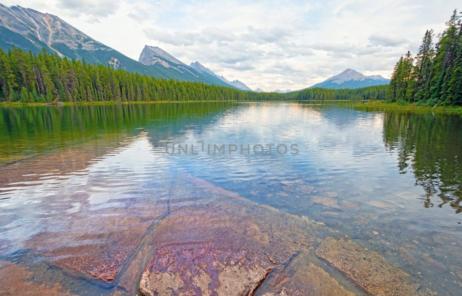 Calm Waters on an Alpine Lake on Honeymoon Lake in Jasper National Park in Alberta