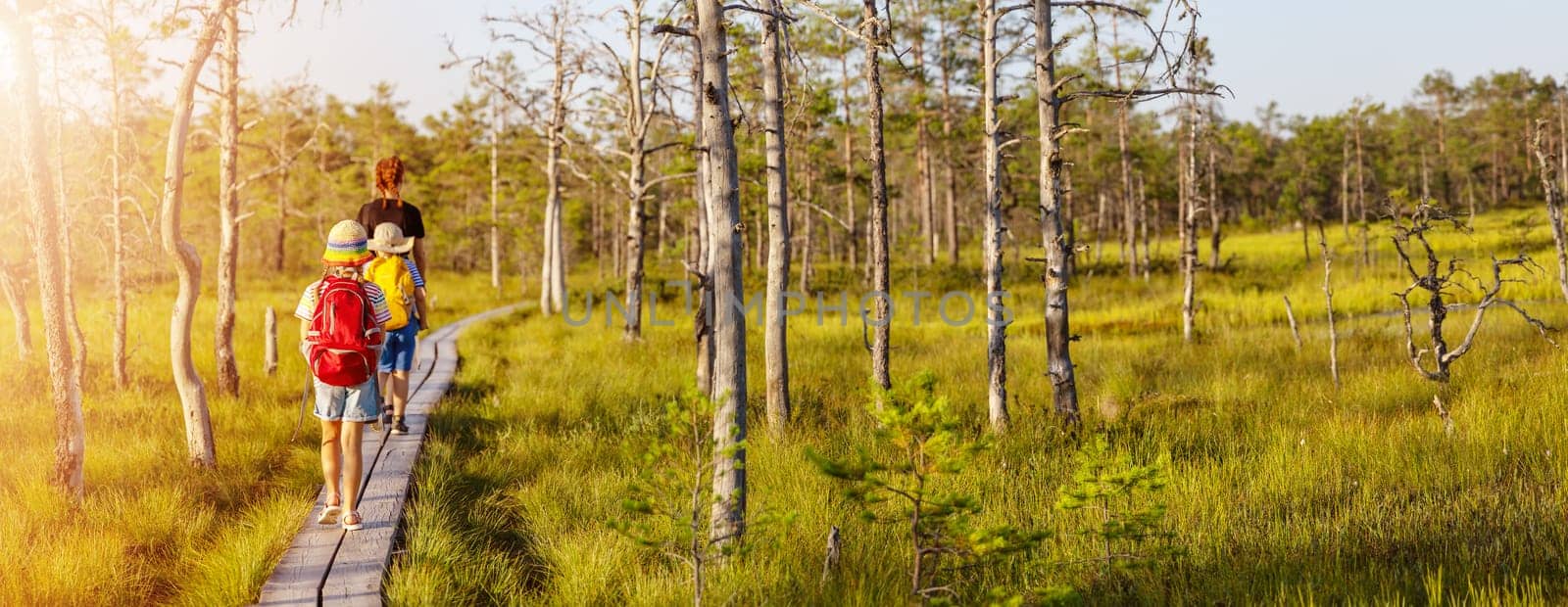 Group of the people walking on the broadwalk on the bog. Concept of the recreation and vacation together.