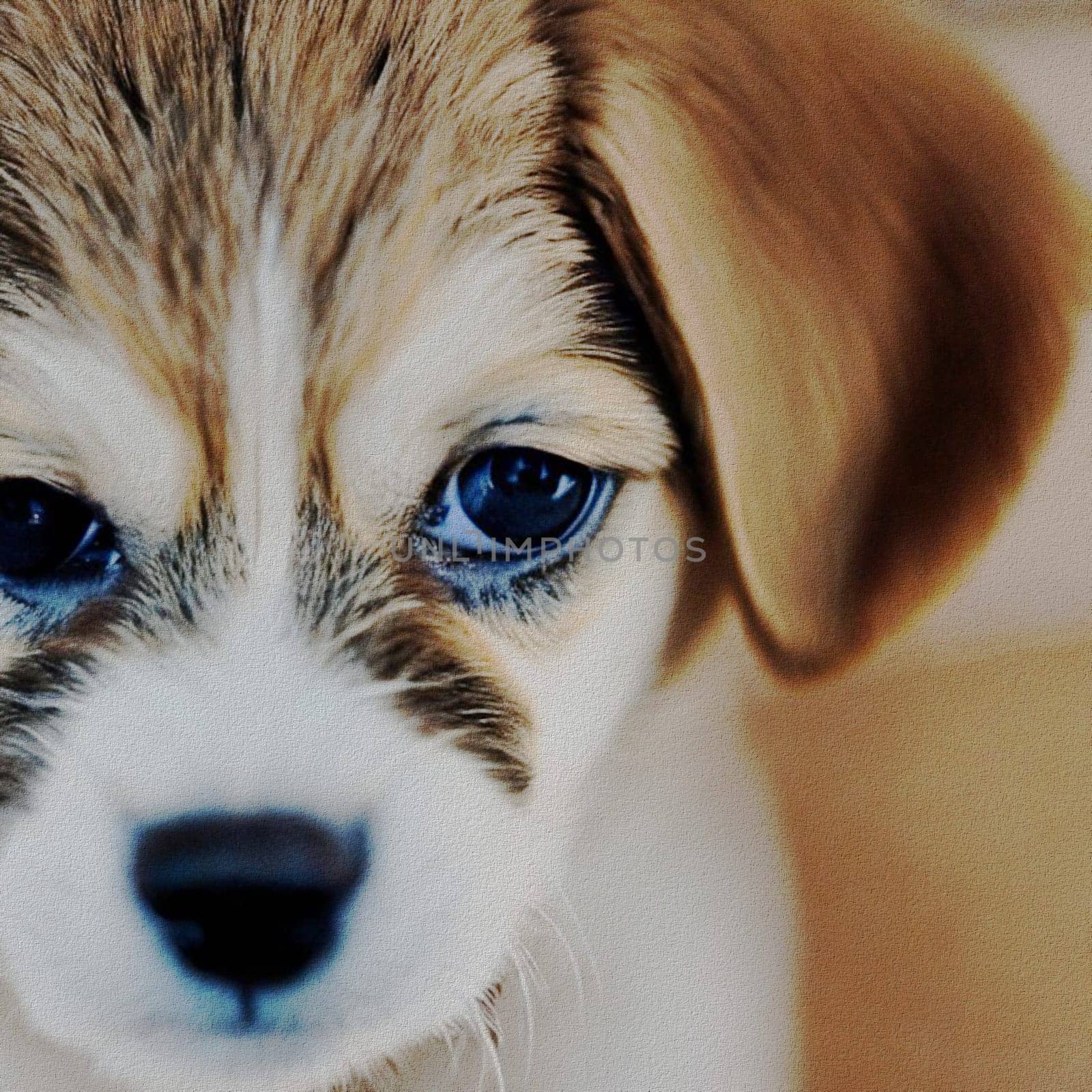 sweet little Puppy
