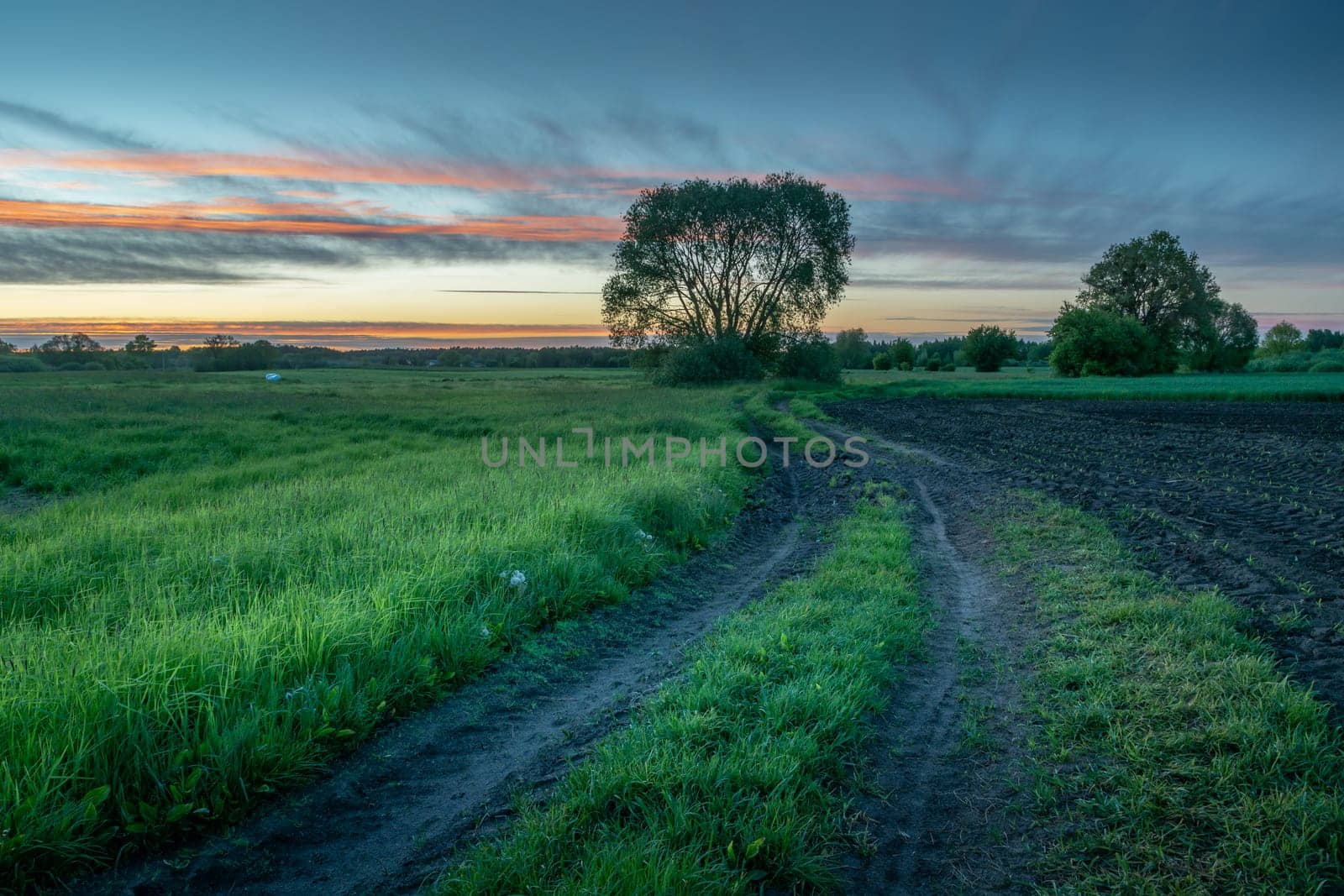 Dirt road between fields and evening sky, rural landscape