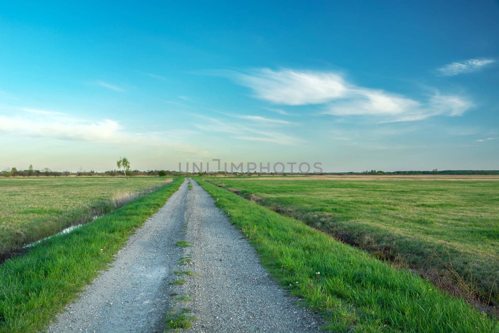 An empty and straight gravel road through green meadows, spring day
