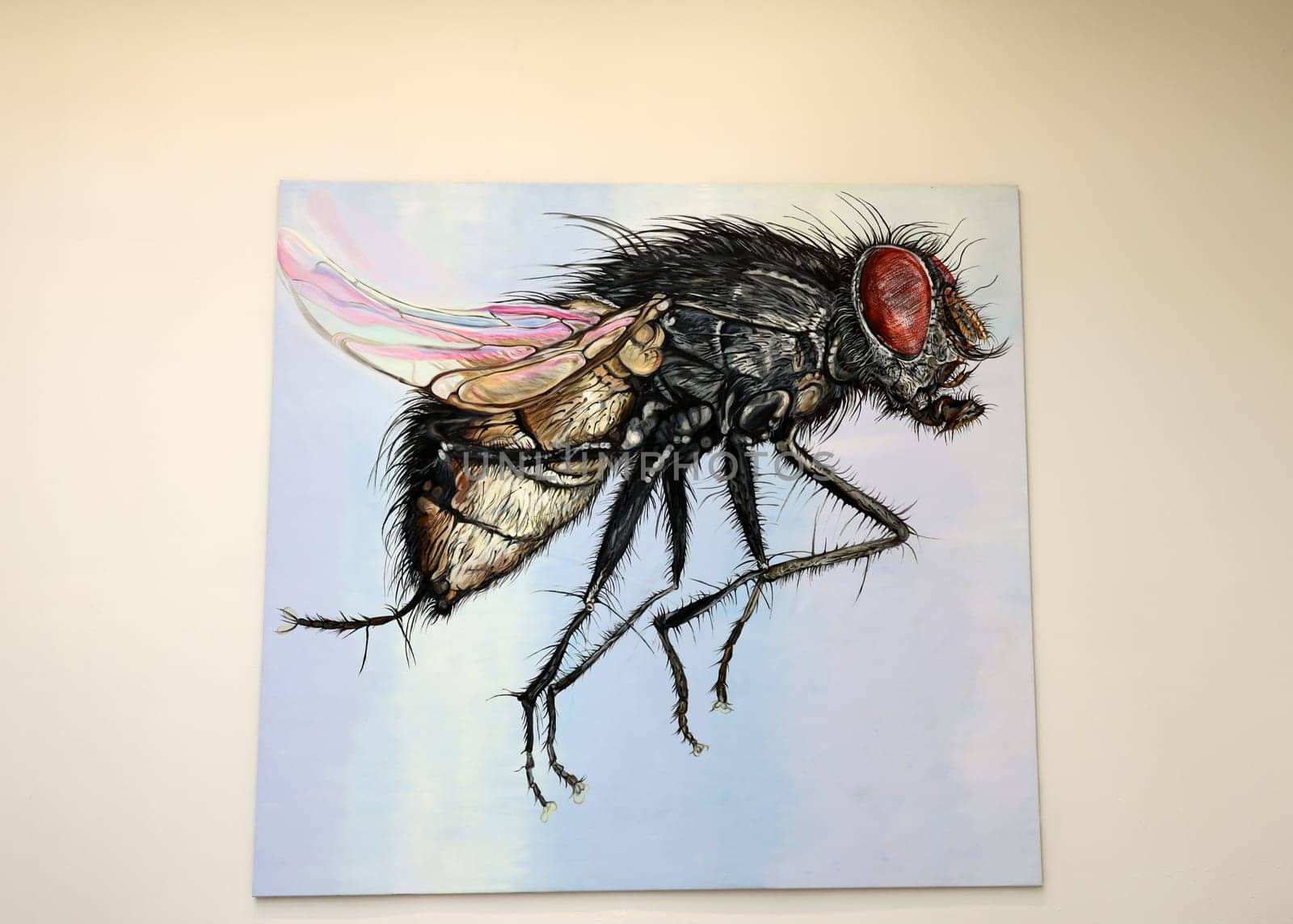 Venice, Italy - September 6, 2022:  59th Venice Art Biennale in Venice.  Fly Eternity by the German artist Jana Euler