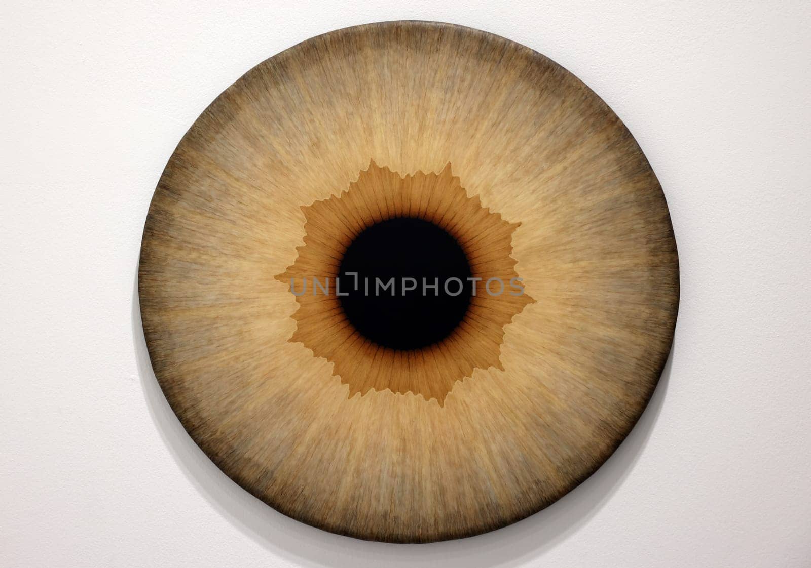 Venice, Italy - Septr 6, 2022: 59th Venice Art Biennale in Venice.A series of eyeball paintings entitled Iris by Swedish artist Ulla Wiggen. Acrylic on panel