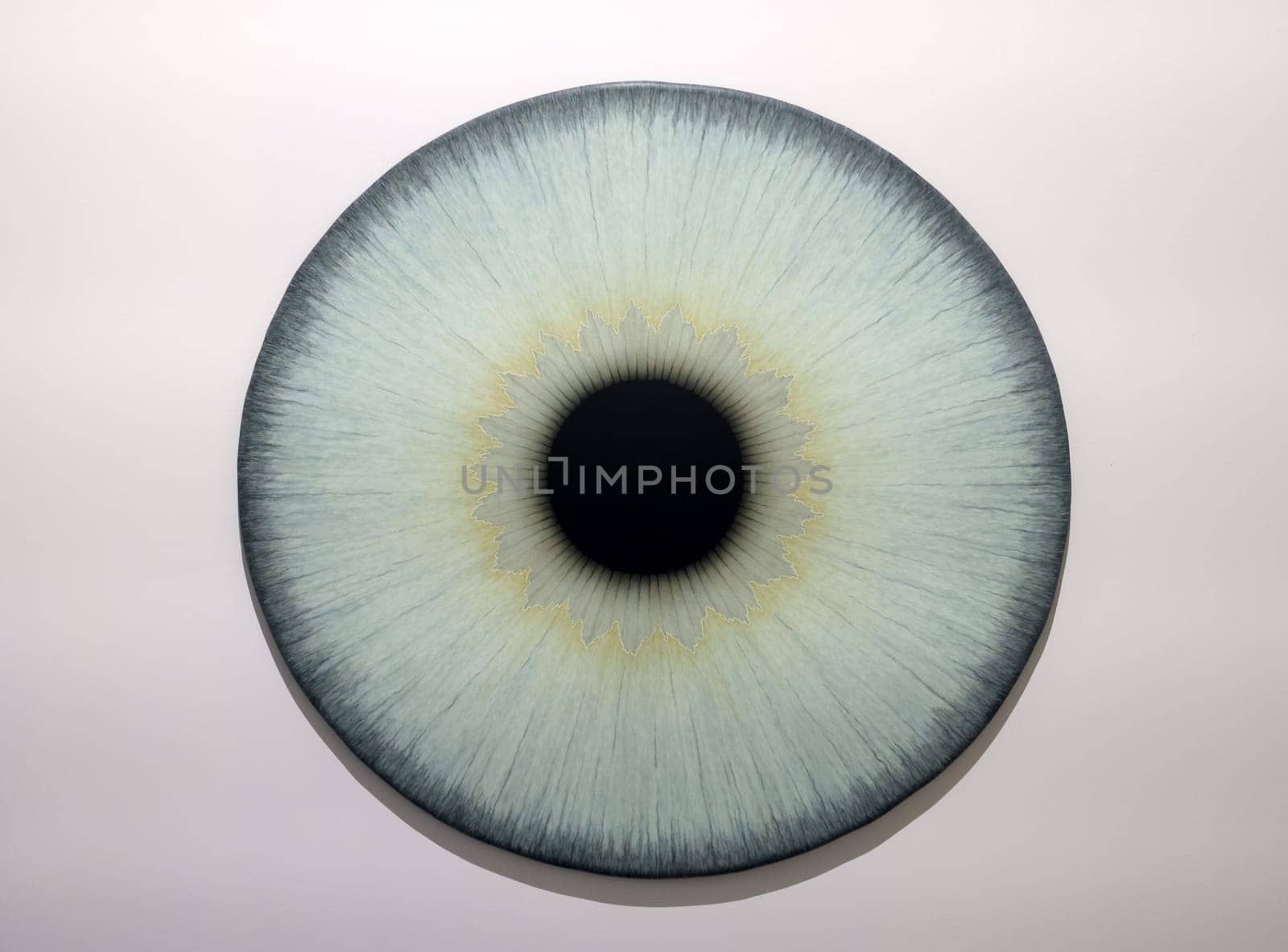 Venice, Italy - Septr 6, 2022: 59th Venice Art Biennale in Venice.A series of eyeball paintings entitled Iris by Swedish artist Ulla Wiggen. Acrylic on panel