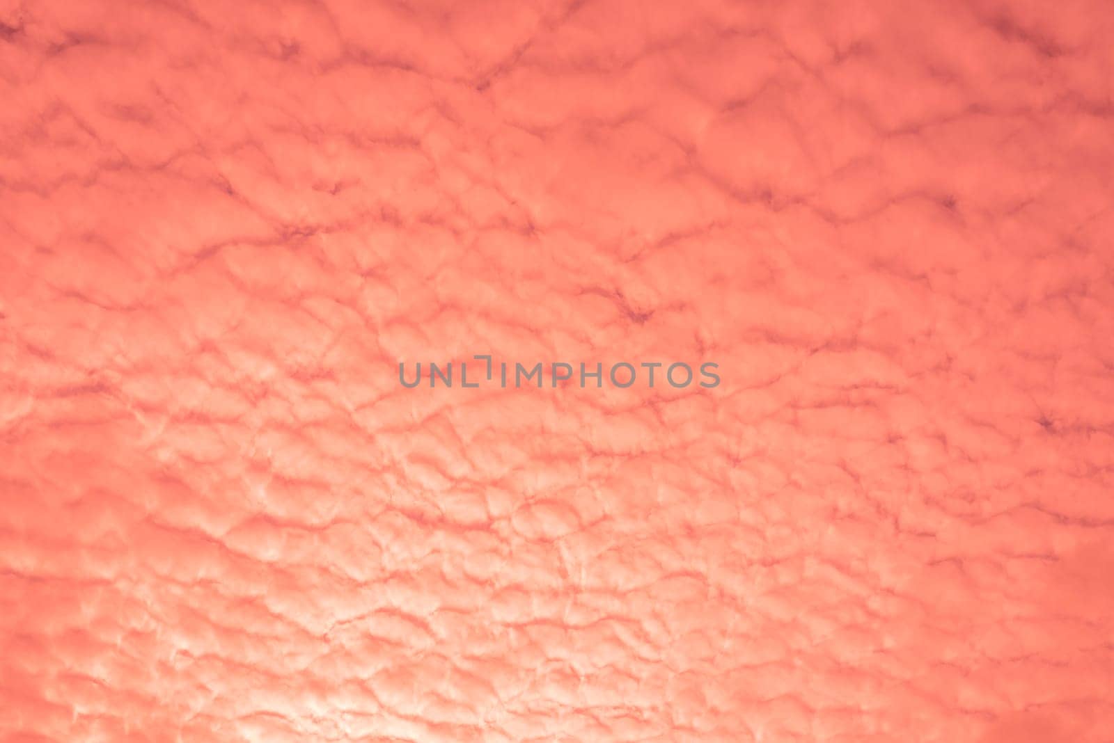 Abstract and pattern of cloud sky Calming coral, Orange, Trend color of the year background, Pattern of colorful cloud and sky sunset or sunrise: Dramatic sunset in twilight, Beautyful of sky