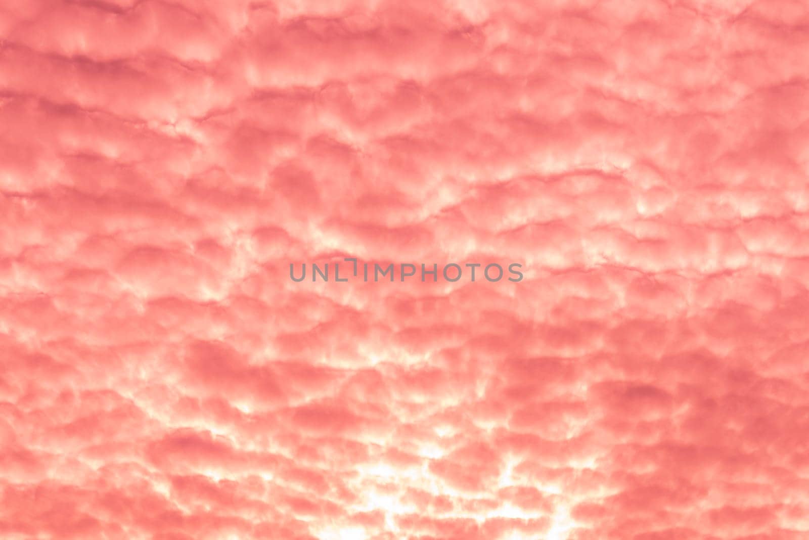 Abstract and pattern of cloud sky Calming coral, Orange, Trend color of the year background, Pattern of colorful cloud and sky sunset or sunrise: Dramatic sunset in twilight, Beautyful of sky