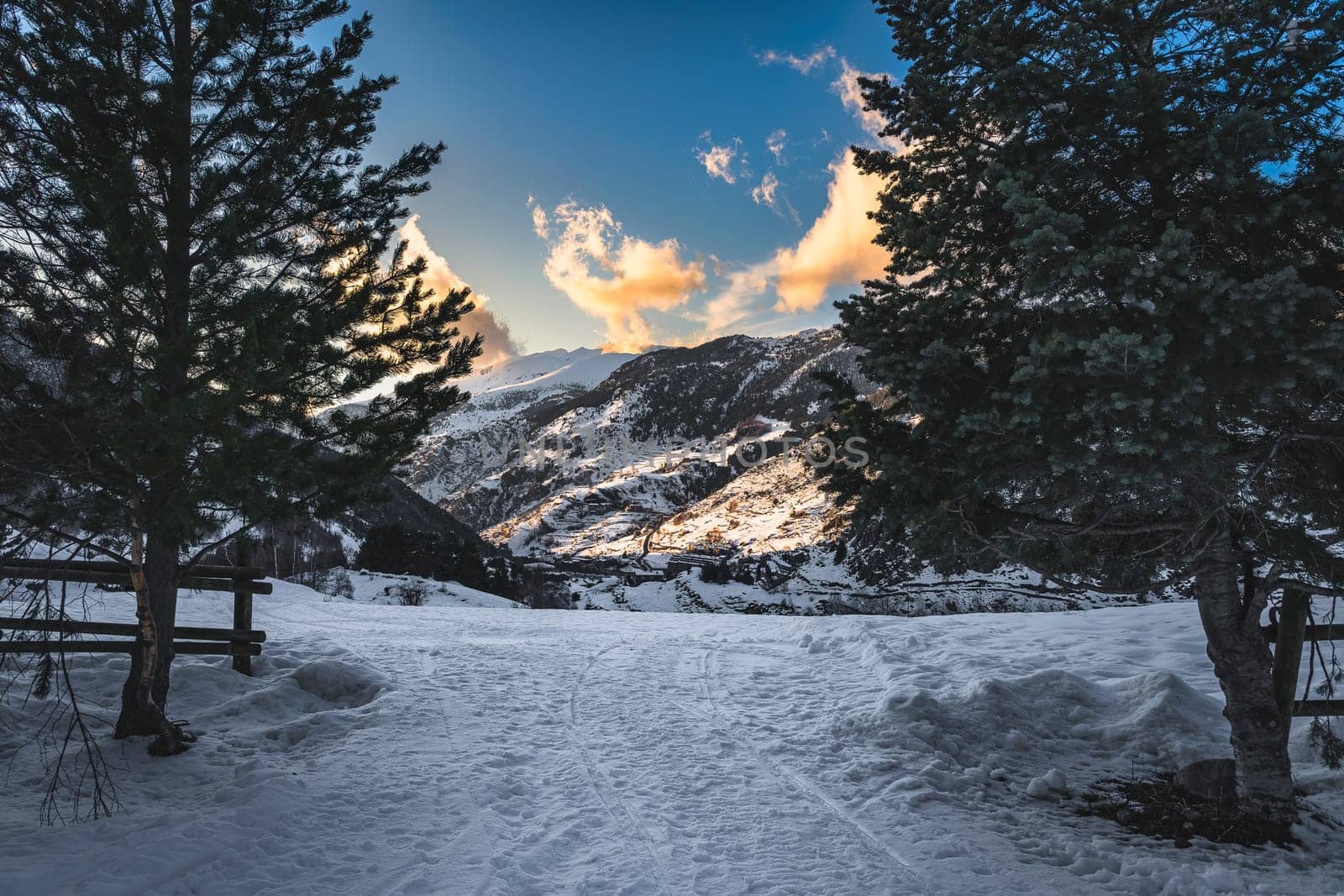 Winter scenery, view through pine trees on El tarter village and mountains illuminated by sunset. Ski winter holidays, Andorra, Pyrenees