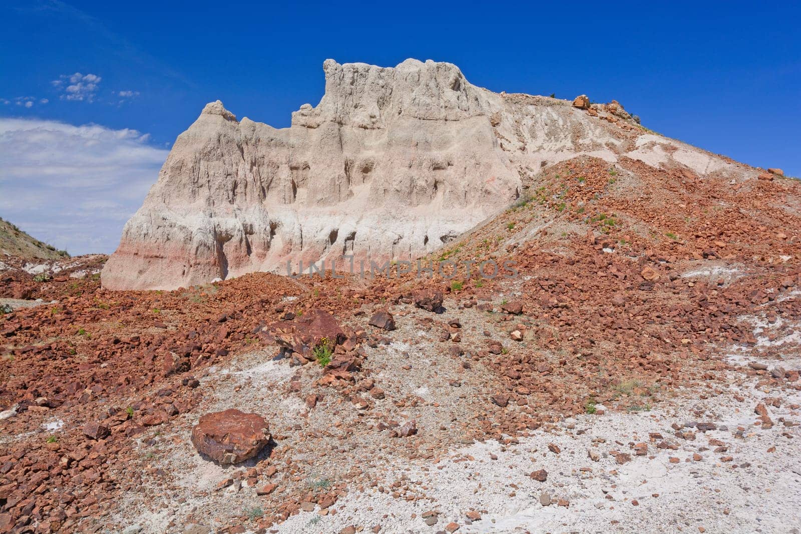 Colorful Rock Remants Below the Volcani Tuff in Big Bend National Park in Texas
