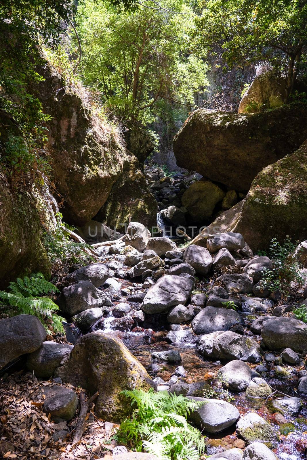 Mini waterfall in Madeira Island