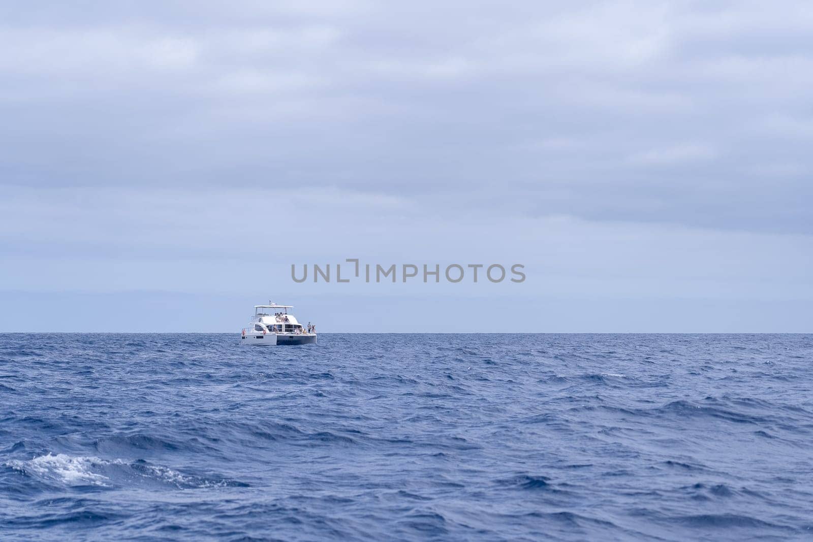 Funchal Madeira Portugal - July 15 2021: Tourists looking for dolphins and whales from a yacht