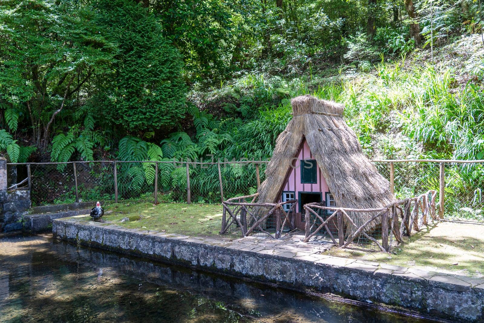 The small house for dog or birds like a traditional madeira house.