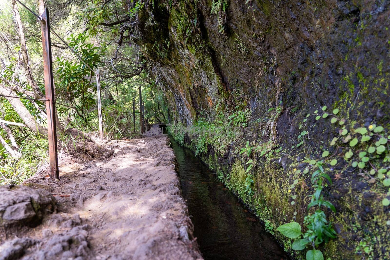 Hiking path in the forest in Levada do Caldeirao Verde Trail, Madeira island, Portugal.