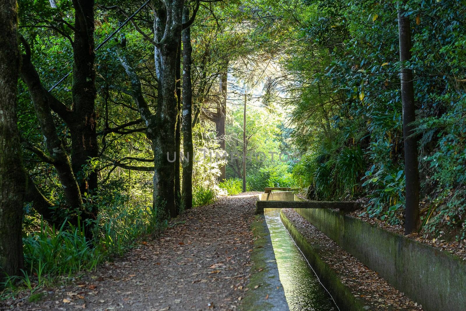 Levada Caminho do Pinaculo e Folhadal in Madeira island. Portugal.
