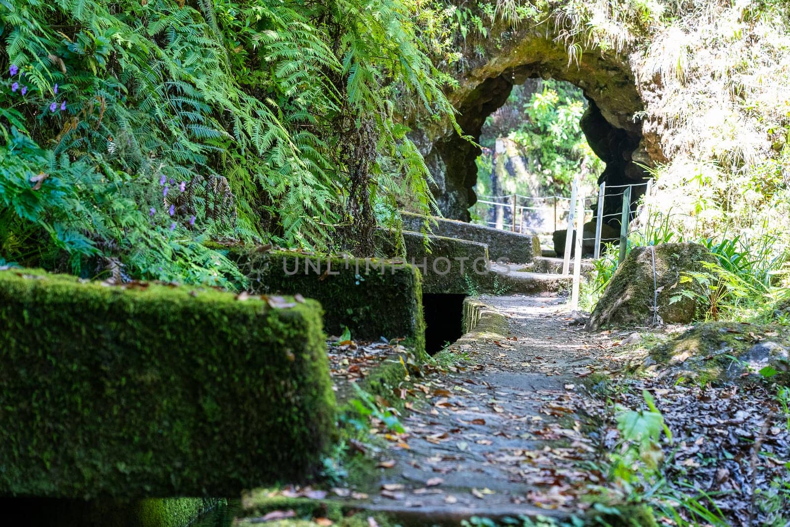 The path by caminho do pinaculo e folhadal levada in Madeira island