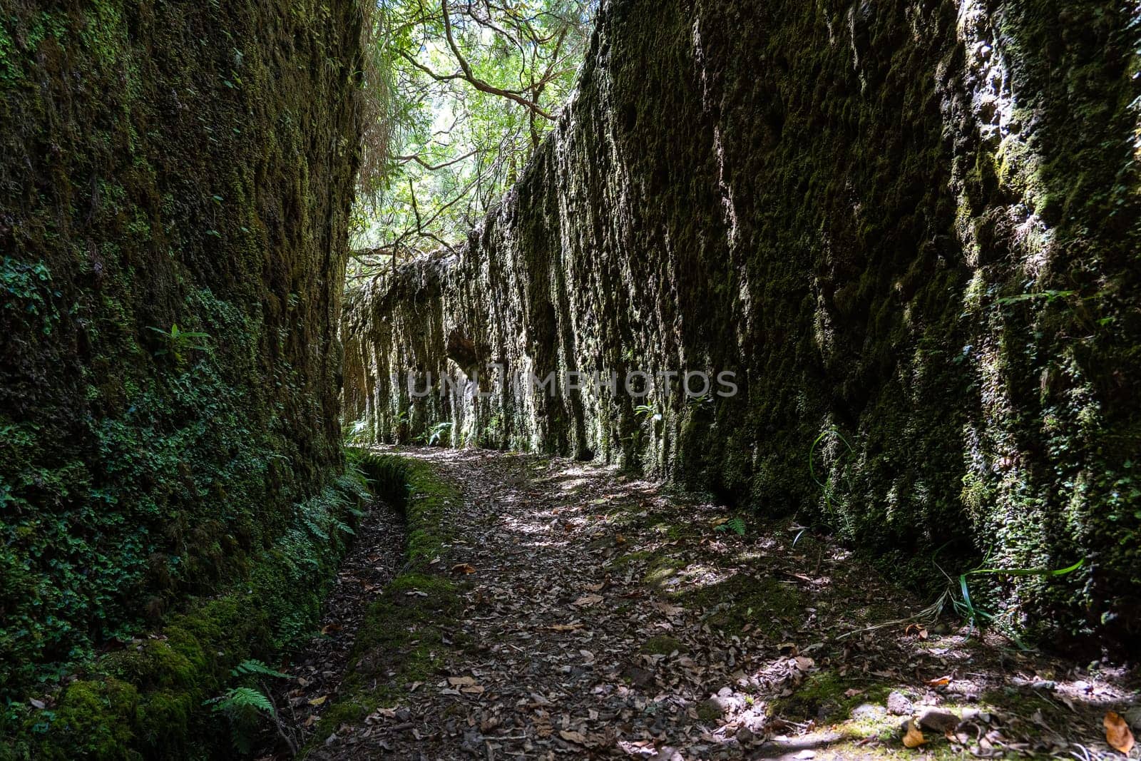 Levada and path between two cliffs in Madeira island